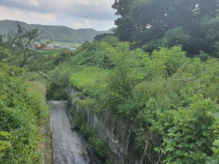 울산광역시 울주군 웅촌면 대대리 1421-1 외 2필지 답 경매 사진 6