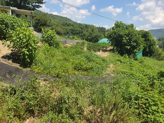 울산광역시 울주군 웅촌면 대대리 1421-1 외 2필지 답 경매 사진 7
