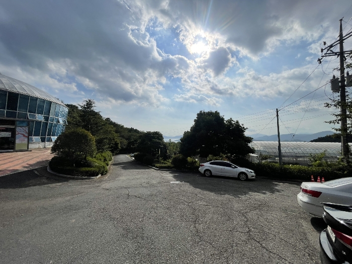 경상남도 창원시 진해구 장천동 32 외 1필지 답 경매 사진 12