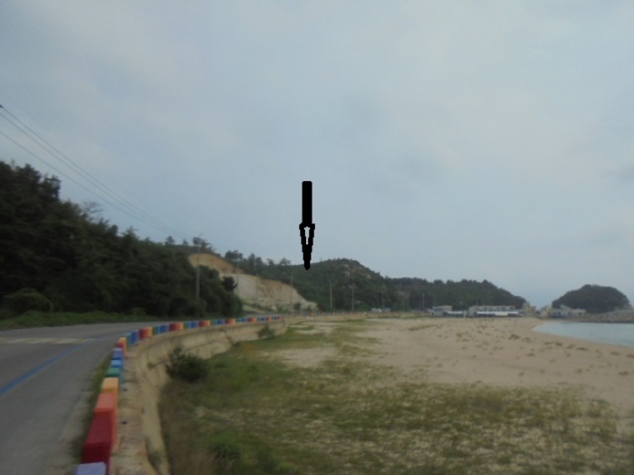 강원특별자치도 고성군 죽왕면 가진리 503-8 외 7필지 임야 경매 사진 1