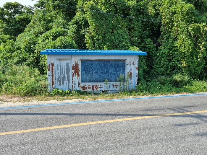 강원특별자치도 고성군 죽왕면 가진리 503-8 외 7필지 임야 경매 사진 14