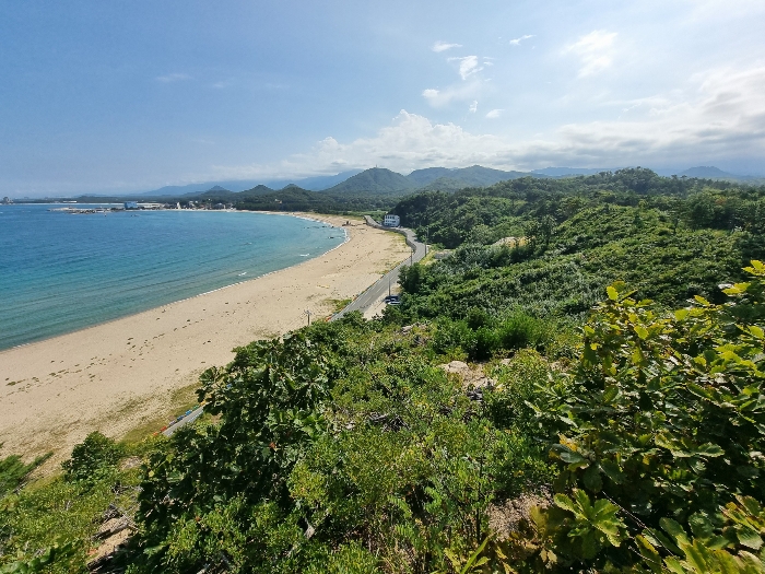 강원특별자치도 고성군 죽왕면 가진리 503-8 외 7필지 임야 경매 사진 8