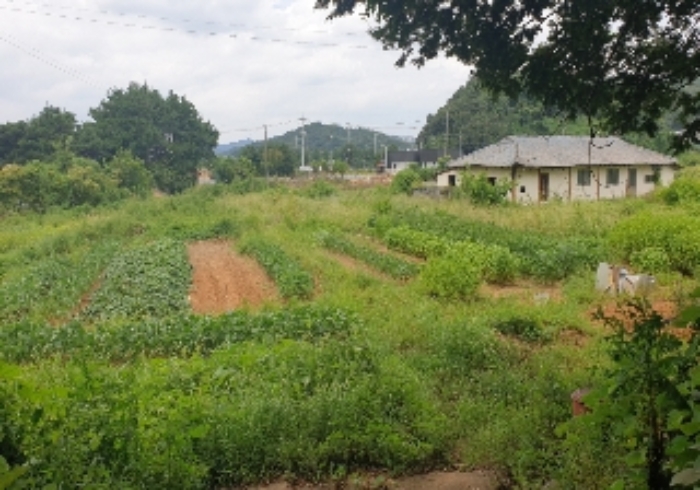 충청북도 충주시 산척면 송강리 1441-1 외 4필지 상가주택 경매 사진 11