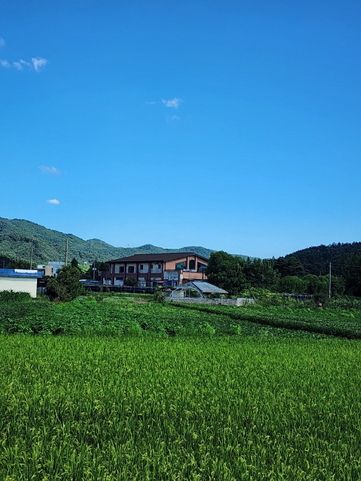 충청북도 충주시 산척면 송강리 1441-1 외 4필지 상가주택 경매 사진 14