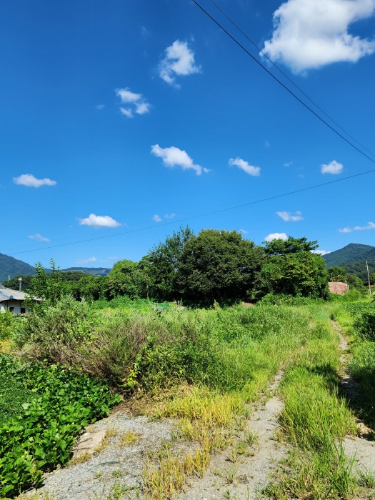 충청북도 충주시 산척면 송강리 1441-1 외 4필지 상가주택 경매 사진 15