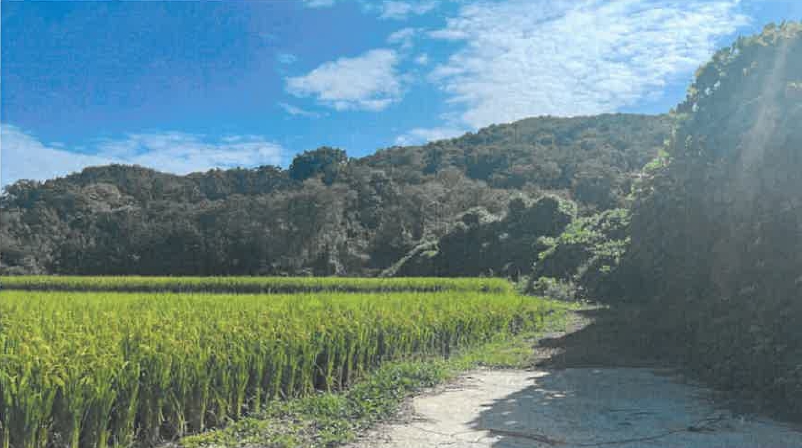 울산광역시 북구 신현동 산183 임야 경매 사진 1