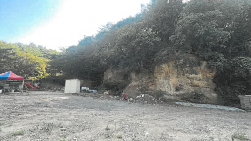 울산광역시 북구 신현동 산183 임야 경매 사진 4