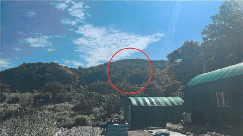울산광역시 북구 신현동 산183 임야 경매 사진 5
