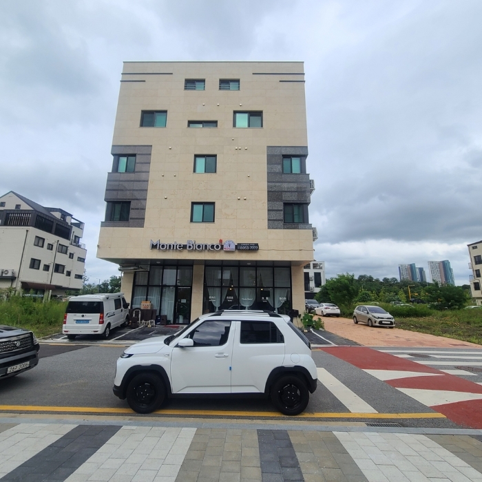 경기도 평택시 고덕동 2484-5 상가주택 경매 사진 11