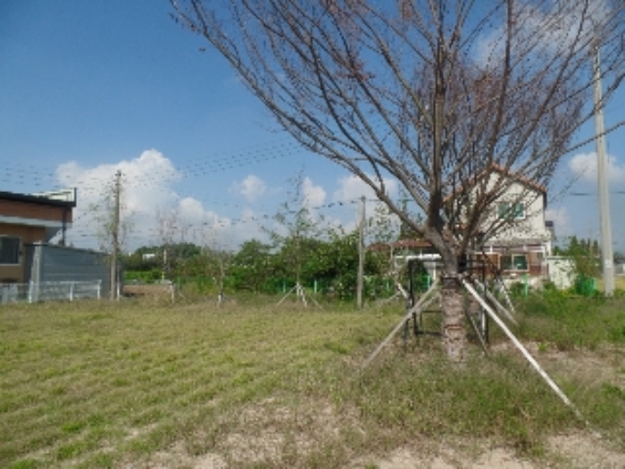 충청남도 논산시 관촉동 394-2 외 4필지 근린생활시설 경매 사진 13