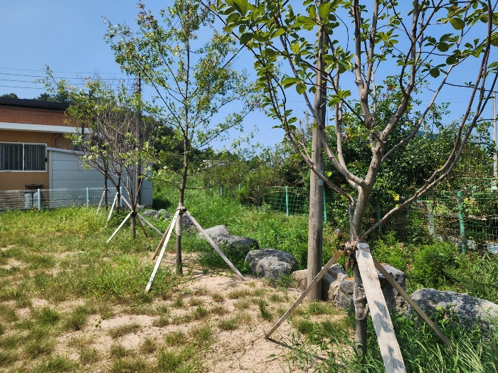 충청남도 논산시 관촉동 394-2 외 4필지 근린생활시설 경매 사진 49