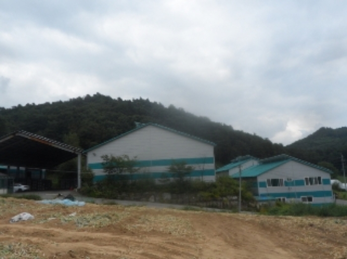 강원특별자치도 평창군 용평면 이목정리 427 외 3필지 공장 경매 사진 19