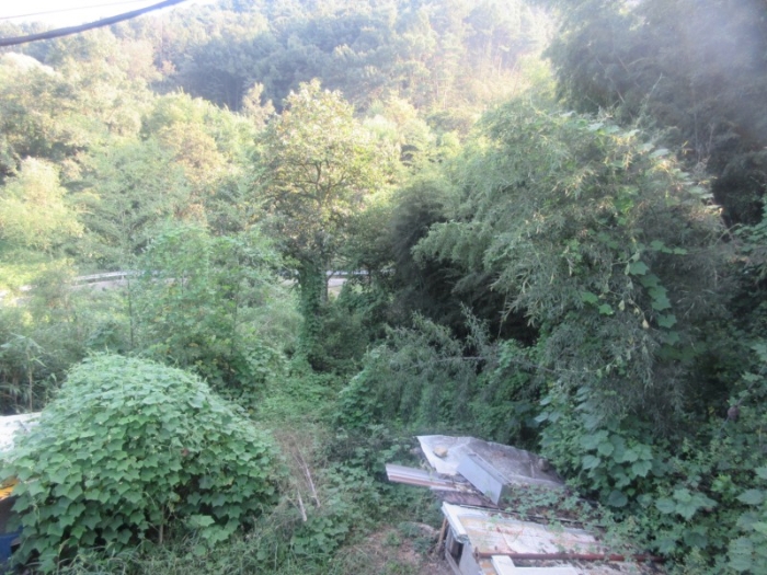 경상북도 성주군 금수면 광산리 973 외 7필지 단독주택 경매 사진 19