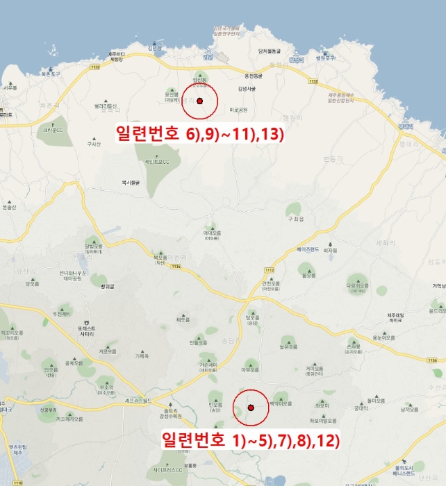 제주특별자치도 제주시 구좌읍 송당리 2462 외 4필지 동물및식물관련시설 경매 사진 68