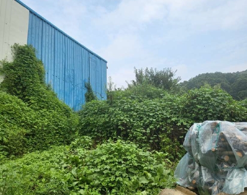 충청북도 음성군 음성읍 초천리 575-3 외 3필지 대지 경매 사진 3