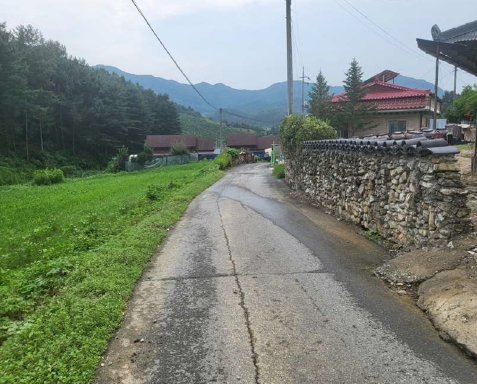 충청북도 음성군 음성읍 초천리 575-3 외 3필지 대지 경매 사진 7