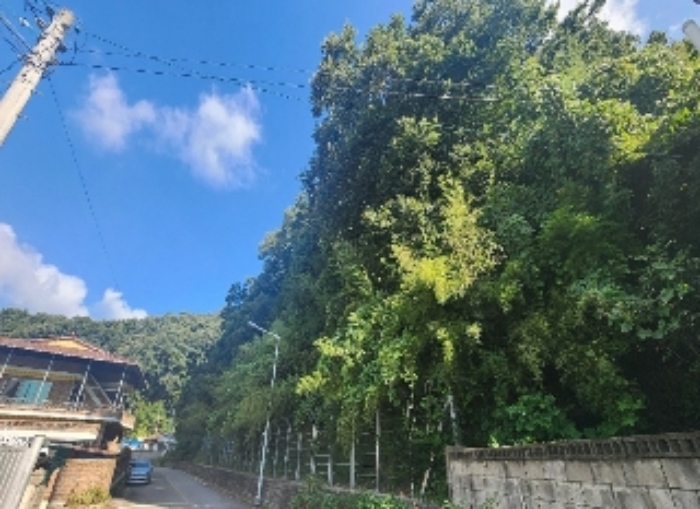 충청북도 영동군 영동읍 계산리 산24-7 외 6필지 임야 경매 사진 1