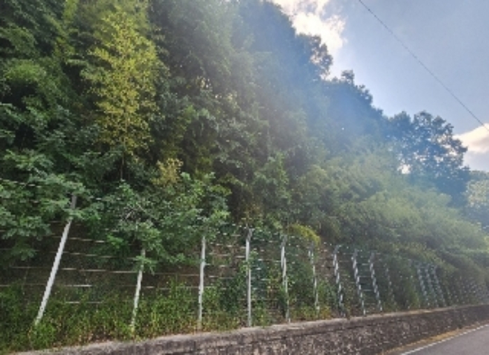 충청북도 영동군 영동읍 계산리 산24-7 외 6필지 임야 경매 사진 2