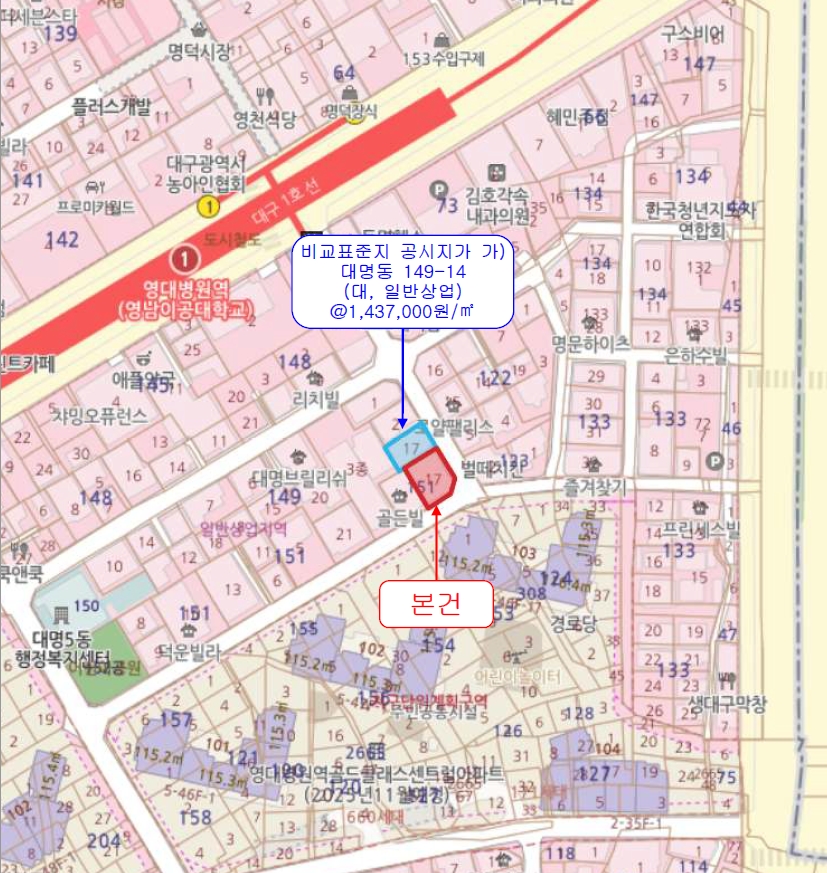 대구광역시 남구 대명동 151-17 주건축물제1동 상가주택 경매 사진 30