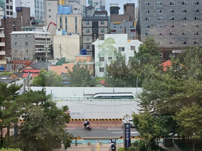 서울특별시 성동구 도선동 15 대지 경매 사진 8