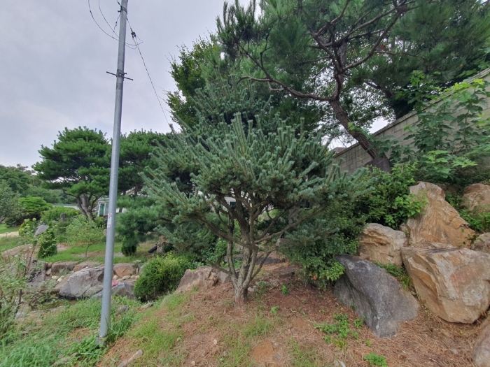 강원특별자치도 홍천군 서면 개야리 322-6 외 1필지 단독주택 경매 사진 24