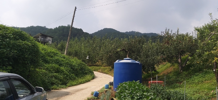 충청북도 충주시 가주동 산67-2 임야 경매 사진 9
