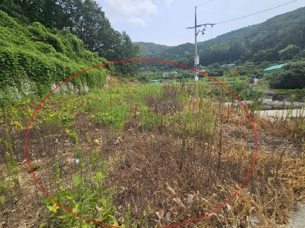 경상남도 양산시 상북면 대석리 95-6 외 5필지 답 경매 사진 1