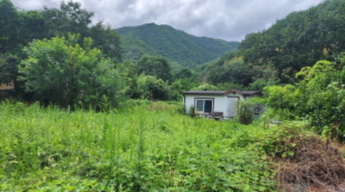 경상남도 양산시 원동면 대리 399 대지 경매 사진 9