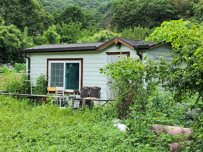 경상남도 양산시 원동면 대리 399 대지 경매 사진 13