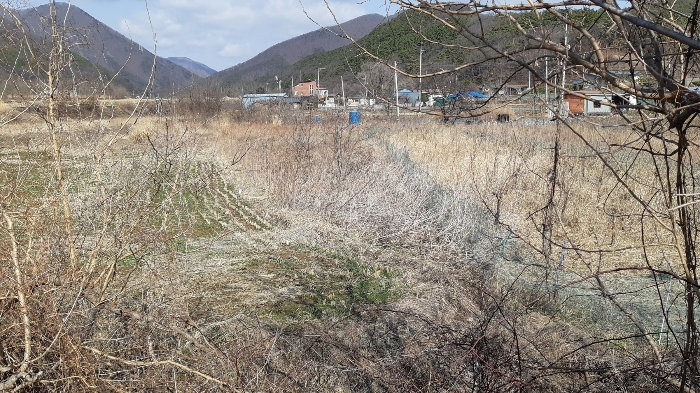 경상북도 경주시 안강읍 하곡리 408 전 경매 사진 3