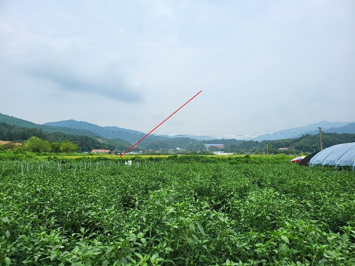 경기도 양평군 옥천면 신복리 1083-1 답 경매 사진 6