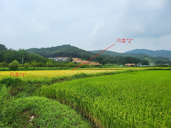 경기도 양평군 옥천면 신복리 1083-1 답 경매 사진 8