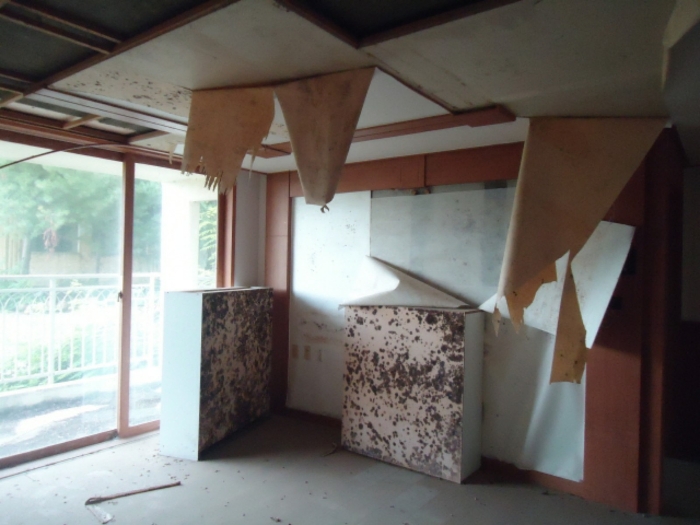 경기도 평택시 포승읍 석정리 산60-5 평택늘사랑아파트 6동 5층501호 외 283개호 외 3필지 아파트 경매 사진 326