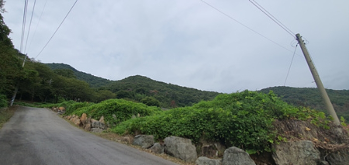 경상남도 김해시 생림면 생철리 1324-8 외 4필지 임야 경매 사진 1