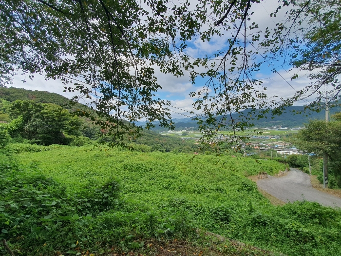 경상남도 김해시 생림면 생철리 1324-8 외 4필지 임야 경매 사진 10