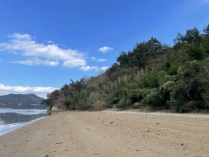 경상남도 남해군 삼동면 금송리 170 외 2필지 답 경매 사진 2