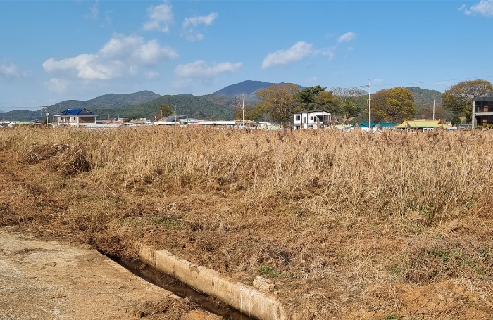 경상남도 남해군 삼동면 금송리 170 외 2필지 답 경매 사진 4