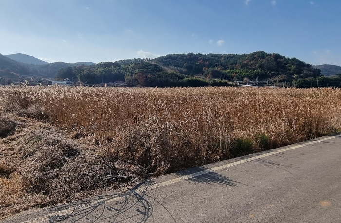 경상남도 남해군 삼동면 금송리 170 외 2필지 답 경매 사진 7