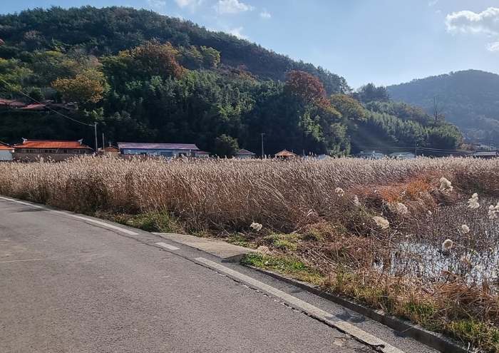 경상남도 남해군 삼동면 금송리 170 외 2필지 답 경매 사진 8
