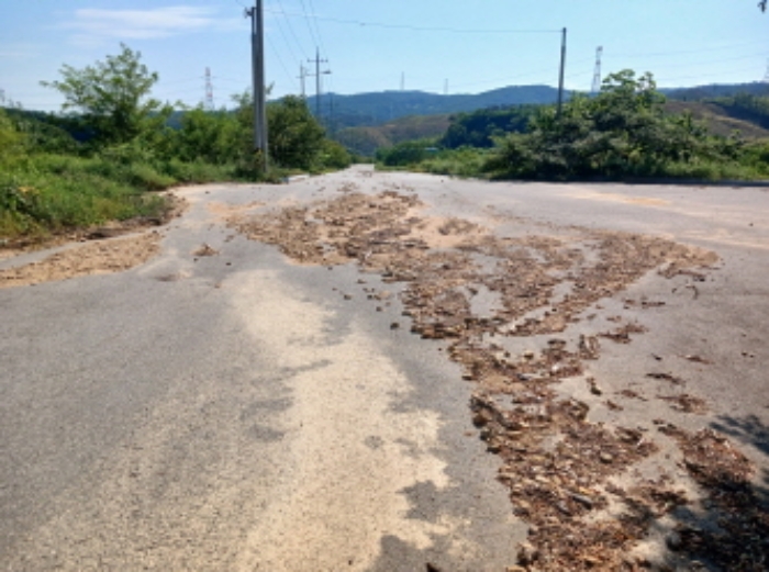 충청남도 서산시 운산면 고산리 333-3 외 52필지 대지 경매 사진 23