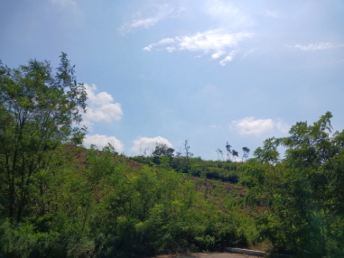 충청남도 서산시 운산면 고산리 333-3 외 52필지 대지 경매 사진 33