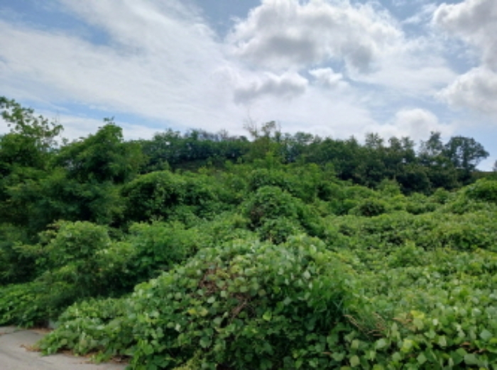 충청남도 서산시 운산면 고산리 333-3 외 52필지 대지 경매 사진 5