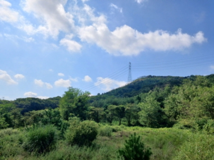 충청남도 서산시 운산면 고산리 333-3 외 52필지 대지 경매 사진 50