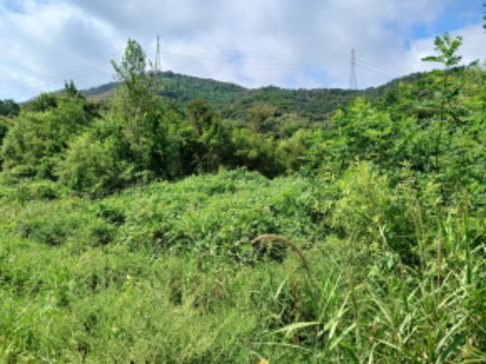 충청남도 서산시 운산면 고산리 333-3 외 52필지 대지 경매 사진 6