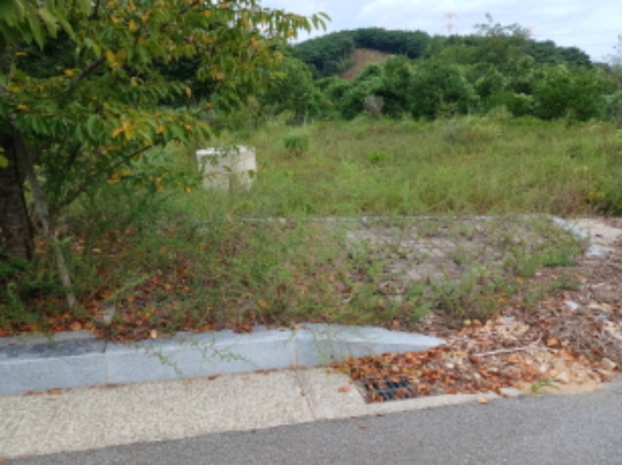 충청남도 서산시 운산면 고산리 333-3 외 52필지 대지 경매 사진 53