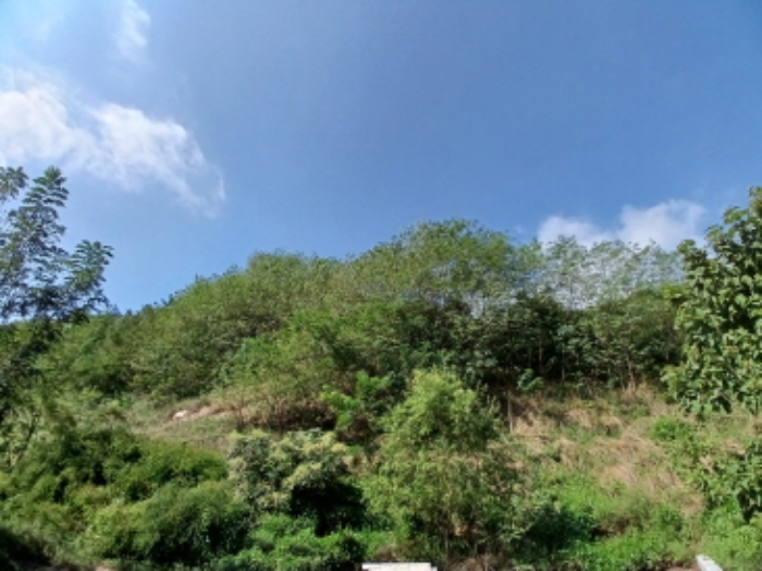 충청남도 서산시 운산면 고산리 333-3 외 52필지 대지 경매 사진 9