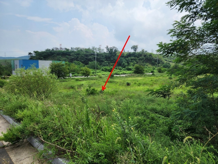 충청남도 서산시 운산면 고산리 333-3 외 52필지 대지 경매 사진 91