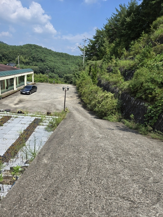 경남 사천시 곤명면 마곡리 595-2 외 1필지 묘지관련시설 경매 사진 11