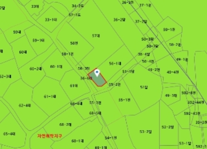 대전광역시 서구 매노동 56-2 외 3필지 전 경매 사진 19