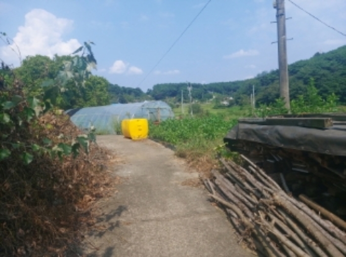 충청남도 당진시 송산면 금암리 481-2 외 3필지 대지 경매 사진 1
